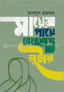 Mayeer Paye Behest Lutay image