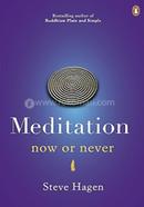 Meditation Now or Never image