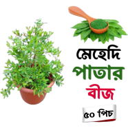 Mehedi patar seed 50 pcs image
