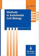 Methods in Endothelial Cell Biology image
