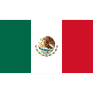 Mexico Flag FIFA World Cup 2026 image