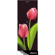 Minister M-224 El Tulip 224 Ltr Refrigerator image