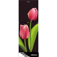 Minister M-224 El Tulip 224 Ltr Refrigerator image