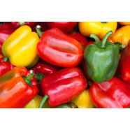 Mix Sweet Bell Bonsai Vegetable Seed-10 Pcs Seeds image