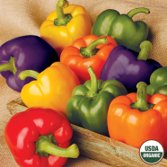 Mixed Capsicum Seed image