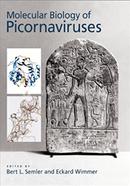 Molecular Biology of Picornaviruses image