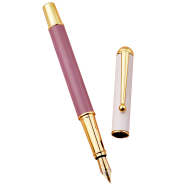 Morandi Metal Fountain Ink Pen - 1pcs image