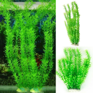 Moss Aquarium Plant Seeds 50 Pcs image