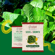 Mustard Leaves Seeds F1 image