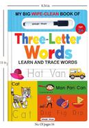 My Big Wipe And Clean Book of Three Letter Words image