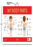 My Body Parts - Early Learning Educational Posters For Children image