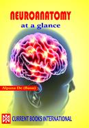 Neuroanatomy image