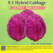 Naomi Seed Cabbage Golden Cross - 1 gm icon