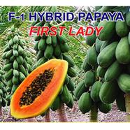 Naomi Seed Hybrid Papaya First Lady 10 Pcs Seed image