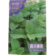 Naomi Mint Seeds Intact Pack (পুদিনা বীজ) - 1 gm image
