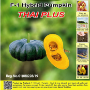 Naomi Seed Pumpkin Thai Plus - 5 gm icon