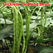 Naomi Seed Stickless Yardlong Bean - 10 gm image