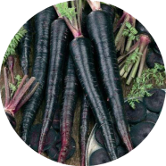 Natural Black Carrot 50 Pcs Seeds image