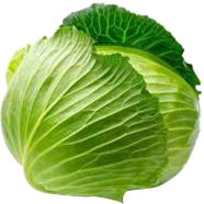 Natural Cabbage 10 Pcs Seeds image