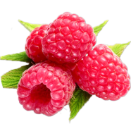 Natural Delicious Sweet Raspberry Fruit Tree Seeds - 50 Pcs image