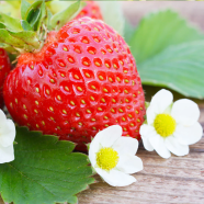 Natural Organic Red Strawberry Fruit - 20 Pcs Seeds image