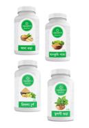 Naturals Gastric Niramoy Package (4 Jars)