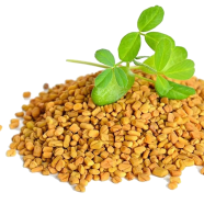 Nature Leaf Fenugreek( Methi) Whole - 200 gm Pack image
