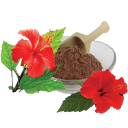 Nature Leaf Hibiscus Flower Powder(Joba Ful Gura) - 100 gm image