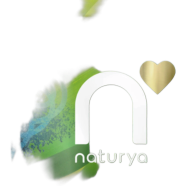 Naturya Organic Green Super Blend 250gm image