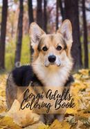 Oculoplastic Surgery image