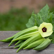 Okra Hybrid Seeds - 35 Plus Pcs image