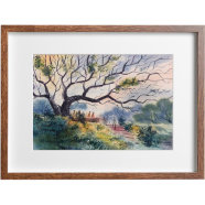 Mahmudur Rahman Rial Old Tree Watercolor Landscape - (16x13) Inches