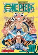 One Piece : Vol. 30 image