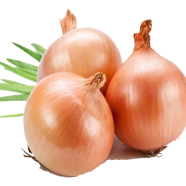 Onion Seeds Hybrid Quality - 50 Pcs image