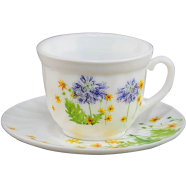 Opal Glass Cup And Saucer image