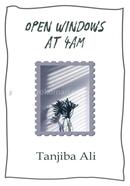 Open Windows at 4AM image