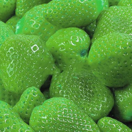 Oprganic Green Fruit Strawberry Seeds - 25 Pcs image