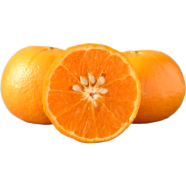 Orange Fruit Tree Seeds - 10 Pcs image