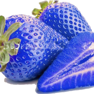 Organic Blue Strawberry Seeds - 30 Pcs image