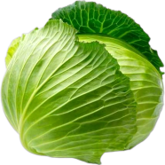 Organic Cabbage 20 Pcs Seeds image
