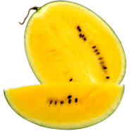 Organic Delicious Small Yellow Watermelon Bonsai-10 Pcs image