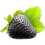Organic Giant Black Strawberry Seeds - 20 Pcs image