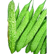 Organic Giant Size About 500gm Bitter Gourd - 10 Pcs Seeds F1 Hybrid image