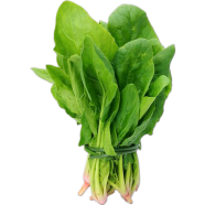 Organic Green Spinach Palong Vegetable - 50 Pcs Seeds image