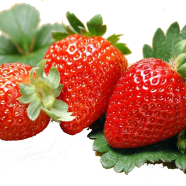 Organic Green Strawberry Seeds - 20 Pcs image