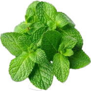 Organic Mint / Pudina Seeds - 33 Plus Pcs image