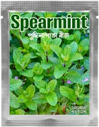 Organic Pudina Mint Seeds 0.25 gn image