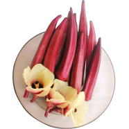 Organic Red Ladies Finger Orka Seeds - 20 Pcs image