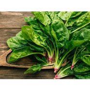 Organic Spinach - 50 Pcs Seeds image