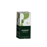 Organikaon Rosemary Essential Oil (রোজমেরী এসেনশিয়াল অয়েল) - 10 ml image